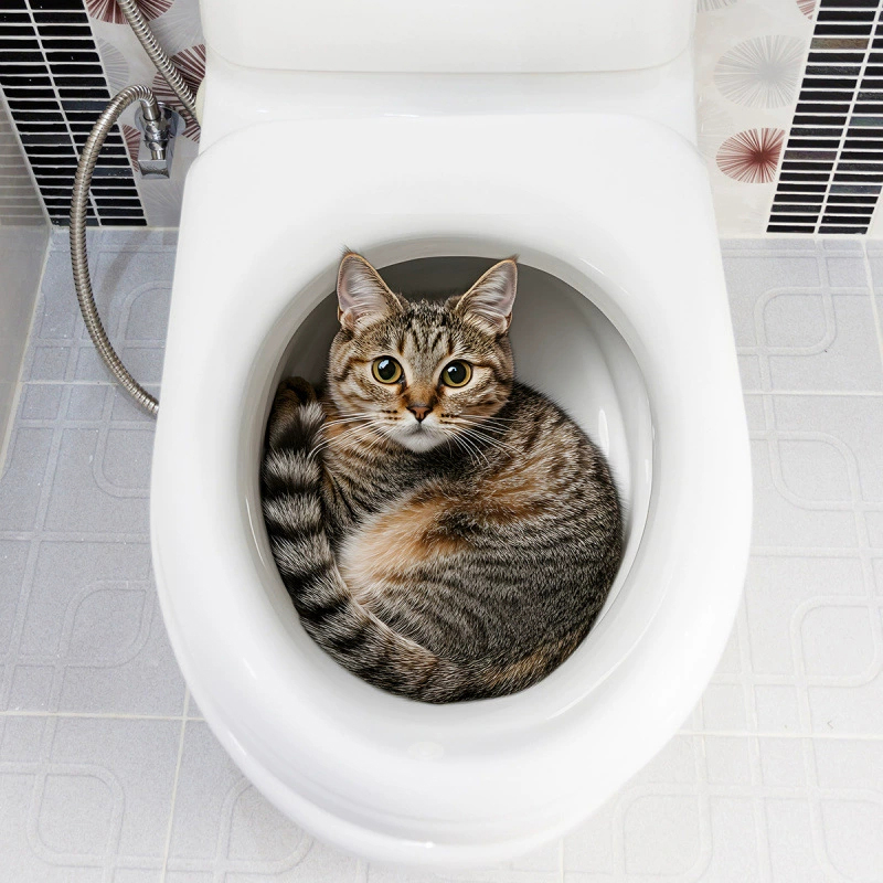 สติกเกอร์ติดฝาชักโครกลายแมว 3  - Jet Home Bathroom Accessories บทวิจารณ์และราคา